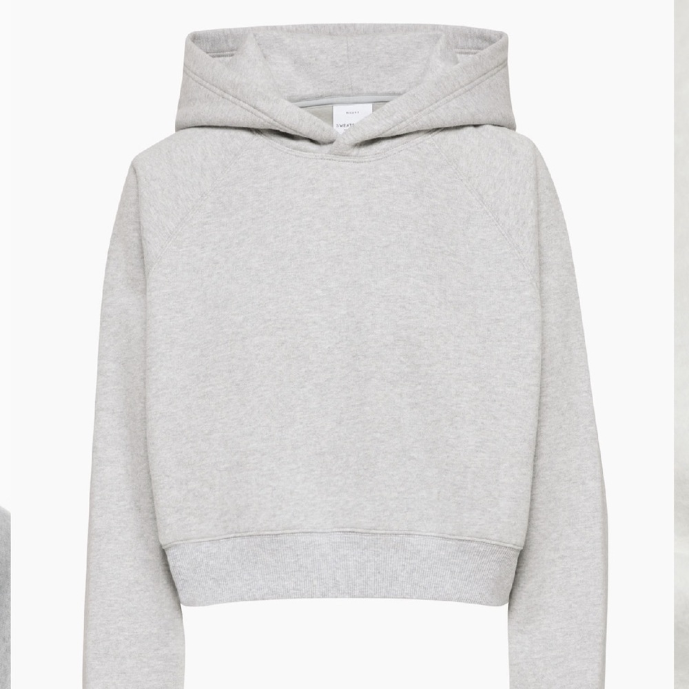 Aritzia Cozy Fleece Mega Raglan Cropped Hoodie - Picture 5 of 9